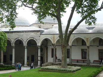 P1040330.JPG 3456x2592 index 86